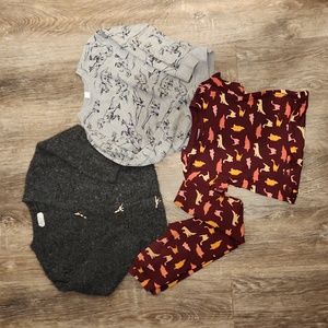 Girls size 5t Dinosaur, Dino lovers bundle
